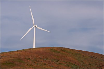 Windmill