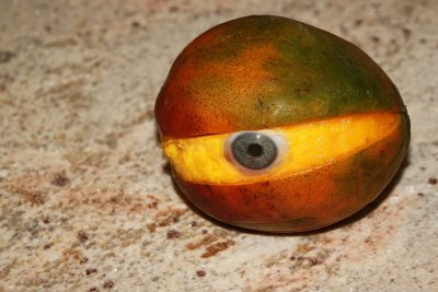 The Sad Mango Just Wanted to Find His Way Home Tonight...