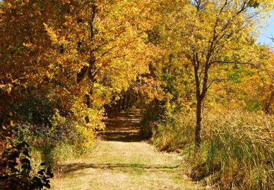 4th PlaceA Golden Pathwayby Jim
