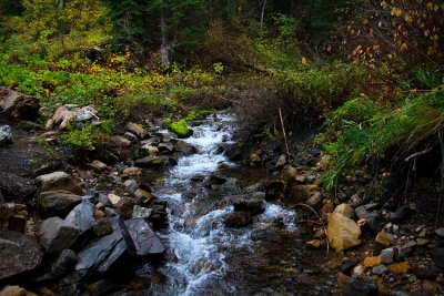 The Arrival of Autumn