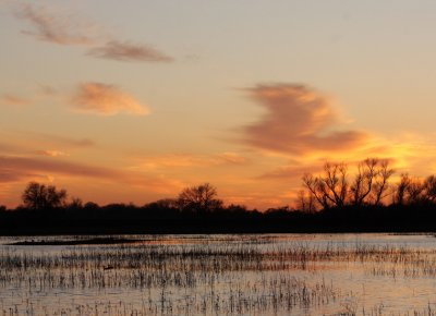 Sunset at the Preserve