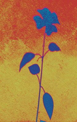 Flower and Leaves