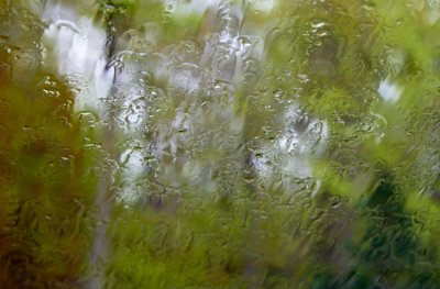 A Rainy Day