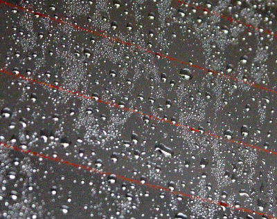 Raindrops on the Window