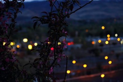 A Peace Of The City