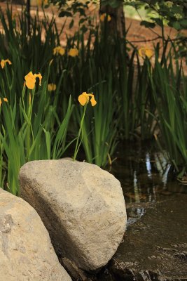 Mellow Yellow