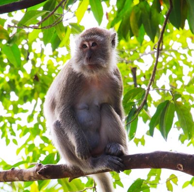 South Central Thailand