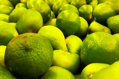 An Avalance of Limes