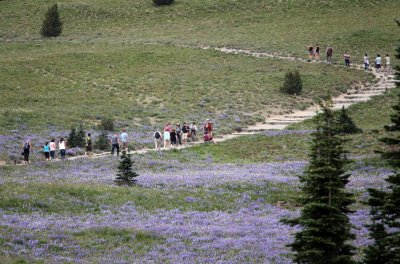 Hikers