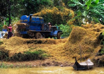 Making Hay