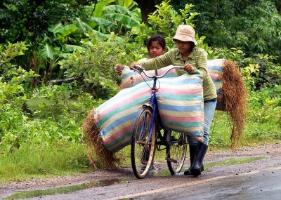 Cycle carrying crops