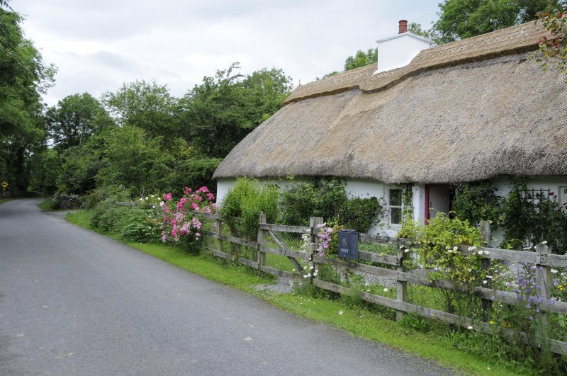 Thatched roof cottage in the village of Kells, County Kilkenny  (3208)