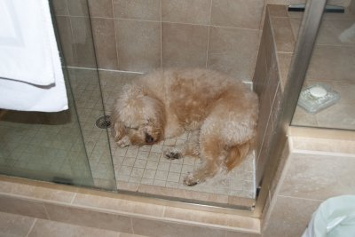 Sleeping in the shower