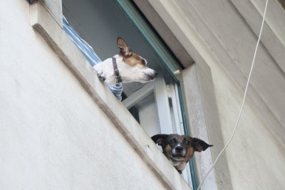 Guardians of the entrance to the castle atop Alfama