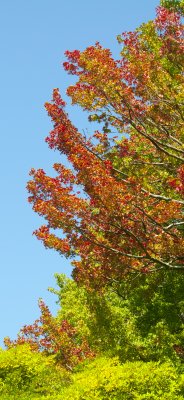 Garden of the Serralves Museum of Contemporary Art, Porto