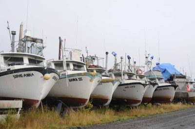 8577 - Old fishing boats