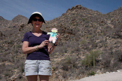 Flat Stanley in Sabino Canyon, Tucson, Arizona