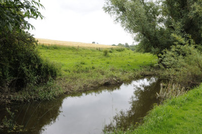 Stream near Kells Priory, County Kilkenny (3198)