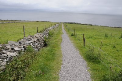 Path to Dunbeg Fort on Slea Head Drive, Dingle Peninsula (3291)