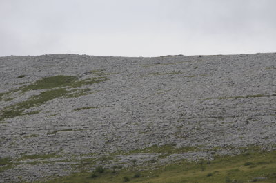 The Burren, (3358)