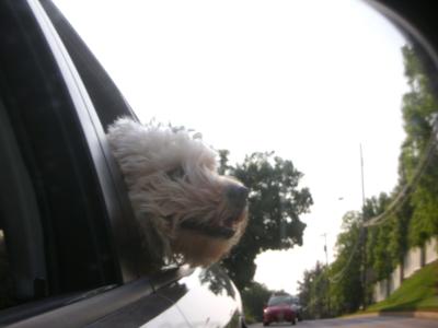 Kona in the rear view mirror