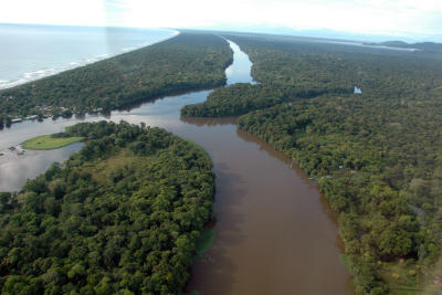 Tortuguero River and canal from the air