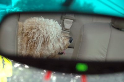 Kona in my rearview mirror