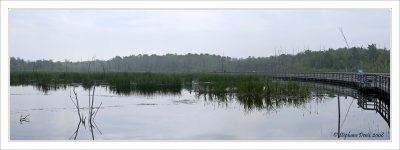 Passerelle du marais - Parc de l'Ile Bizard (juin 2008)