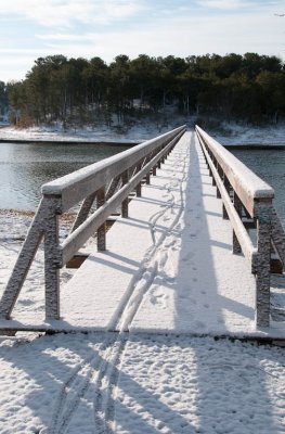 Cape Cod Photos