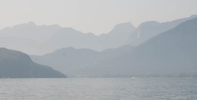 Misty morning, August 26, 2011 20110826-091007-1717.jpg