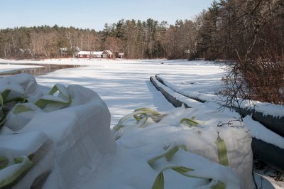 20120122-111812-4562.jpg