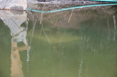 20120409-171831-5094.jpg