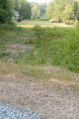 20120717-173507-6449.jpg
