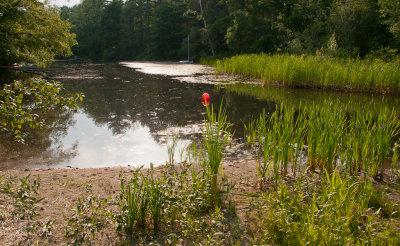 20120717-173726-6453.jpg