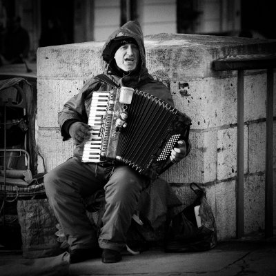 L'accordoniste.