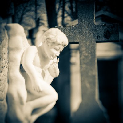 An Angel ?