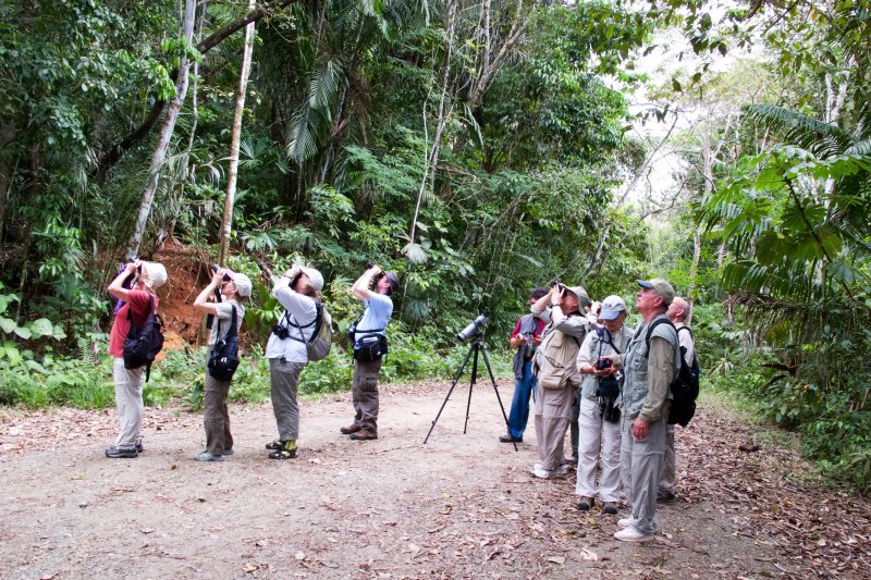 Birding the Pipeline Road
