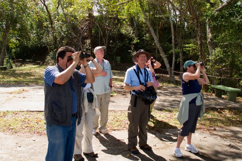 Birding at the top of the park