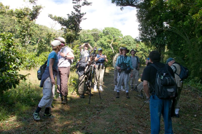 Tracking the elusive three-wattled Bellbird and Resplendent Quetzal