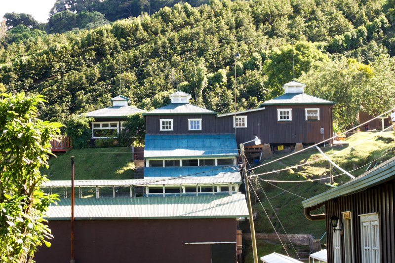 The coffee bean processing plant