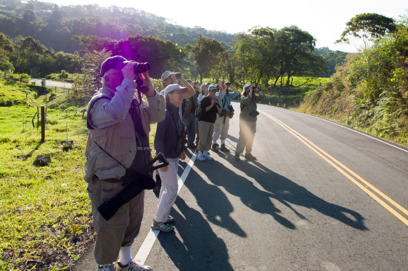 Birding Tapir Canyon