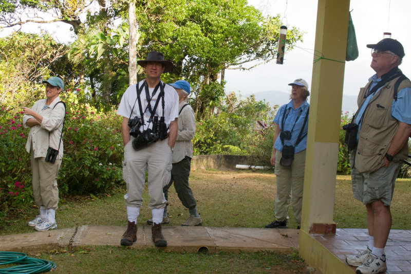 Birders View in Cerro Azul: first visit