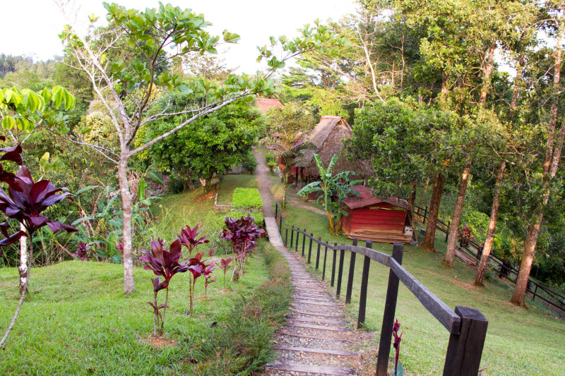 Towards the main house