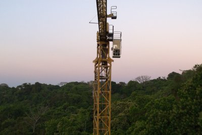 Parque Natural Metropolitano, the Smithsonian Tropical Research Instutute  crane