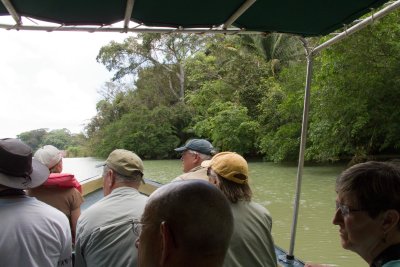 Jungle boat ride on Gatun Lake