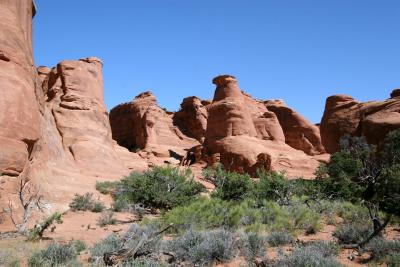 IMG_8605.JPG