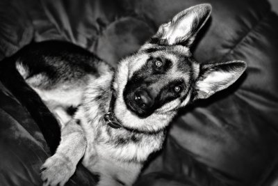 Cinco_18weeks_BW.jpg
