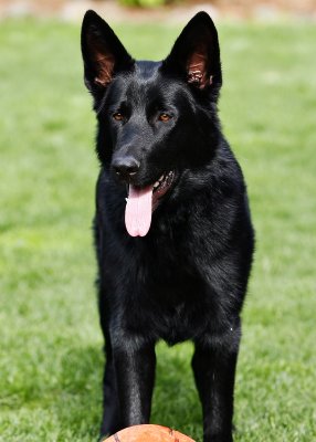 Nikita9months.jpg