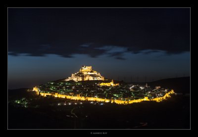 Morella