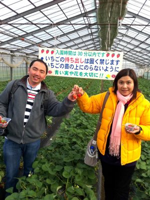 Strawberry Orchard in Kanagawa